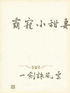霸宠小甜妻
