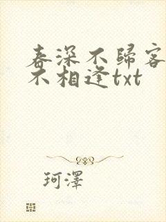 春深不归客清梦不相逢txt