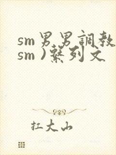 sm男男调教(sm )系列文