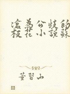沧为公歧的清纯校花小说苏软