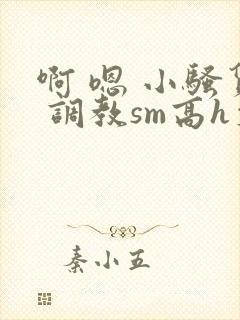 啊 嗯 小骚货 调教sm高h文