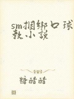 sm捆绑口球调教小说