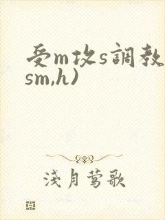 受m攻s调教(sm,h)