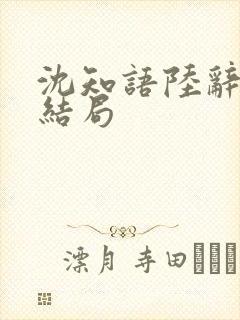 沈知语陆辞衍大结局封面