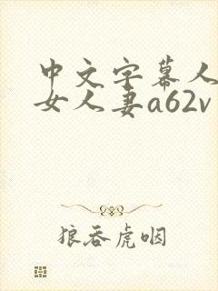 中文字幕人妻熟女人妻a62v网址