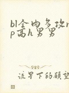 bl全肉多攻np高h男男