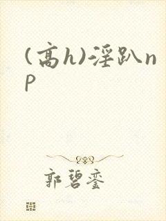 (高h)淫趴np