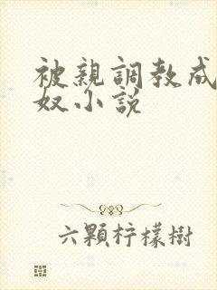 被亲调教成她的奴小说