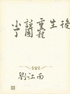 小说重生后我成了团宠封面