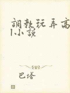 调教玩弄高潮gl小说