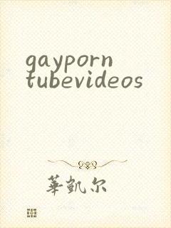 gayporntubevideos