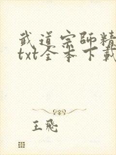 武道宗师精校版txt全本下载封面