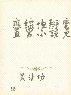 恋综但掰弯恐同直男小说免费