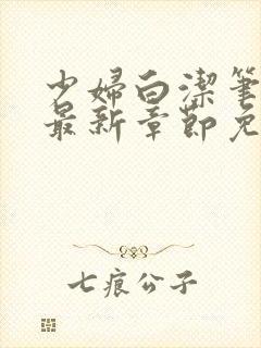 少妇白洁笔趣阁最新章节免费观看