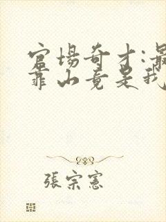 官场奇才:最强靠山竟是我自己李澜小说最封面