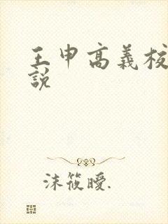 王申高义校长小说