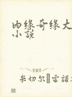内缘奇缘大团圆小说