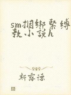 sm捆绑紧缚调教小说h