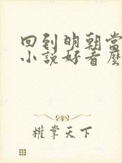 回到明朝当王爷小说好看么
