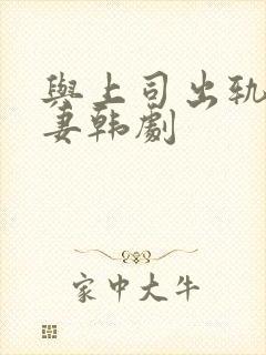与上司出轨的人妻韩剧