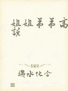 姐姐弟弟高h小说
