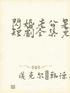 闪婚老公是总裁短剧全集免费看