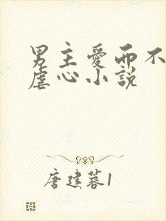 男主爱而不得的虐心小说