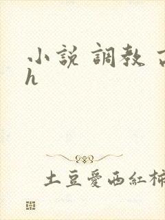 小说 调教 高h