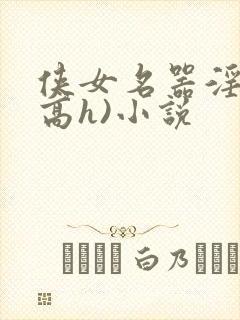 侠女名器淫史(高h)小说