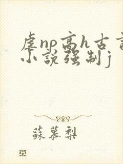 虐np高h古言小说强制j
