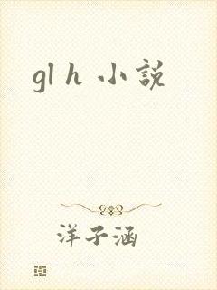 gl h 小说