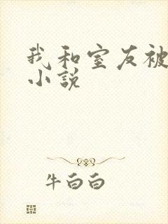 我和室友被调教小说
