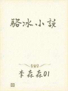 骆冰小说