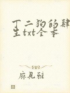 丁二狗的肆意人生txt全本封面