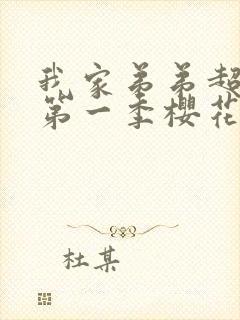 我家弟弟超厉害第一季樱花动漫