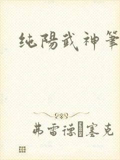 纯阳武神笔趣阁