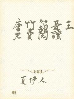 唐竹筠晋王小说免费阅读
