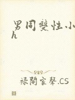 男同双性小说高h封面