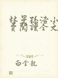 林曼孙浩小说免费阅读全文最新章节封面