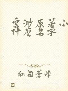 云渺原著小说叫什么名字