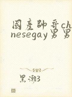 国产帅哥chinesegay男男封面