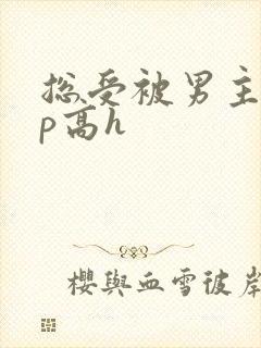 总受被男主们np高h