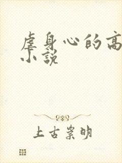虐身心的高干文小说
