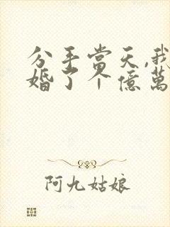 分手当天,我闪婚了个亿万富翁正版