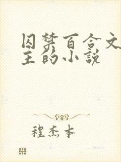 囚禁百合文双女主的小说