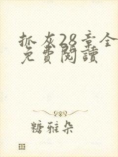 抓灰28章全部免费阅读
