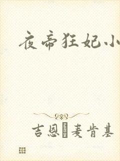夜帝狂妃小说