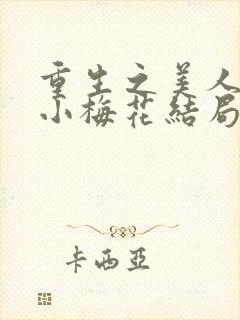 重生之美人是君小梅花结局