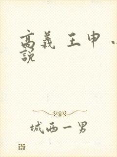 高义 王申 小说