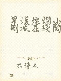 星汉灿烂小说无删减在线阅读
